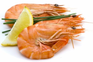 1096971-shrimps